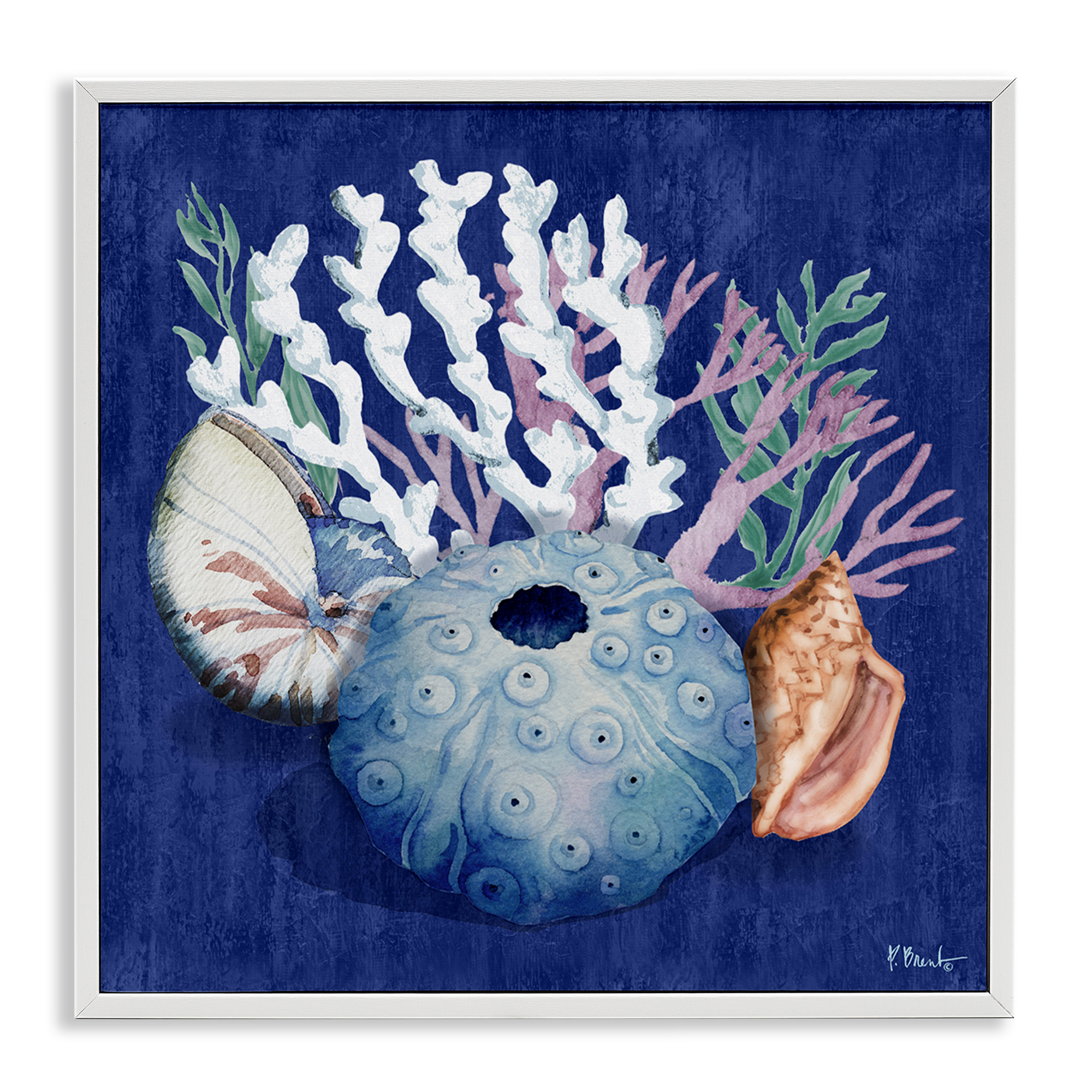 Stupell Industries Sea Urchin & Coral Coastal Painting White Framed Art Print Wall Art, 12 x 12