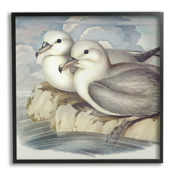Stupell Industries Seagull Couple Perched Coastal Water Resting Birds Animals & Insects Painting Black Framed Art Print Wall Art, 12 x 12