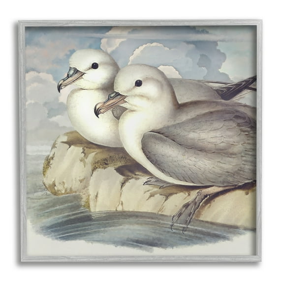Stupell Industries Seagull Couple Perched Coastal Water Resting Birds Animals & Insects Painting Gray Framed Art Print Wall Art, 12 x 12