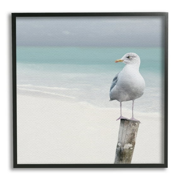 Stupell Industries Seagull Perched by Shore Animals & Insects Photography Black Framed Art Print Wall Art, 12 x 12