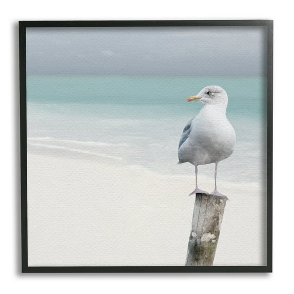 Stupell Industries Seagull Perched by Shore Animals & Insects Photography Black Framed Art Print Wall Art, 17 x 17