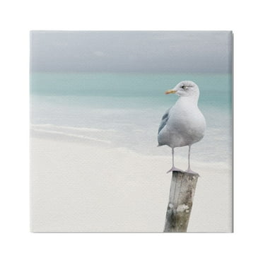 Stupell Industries Seagull Perched by Shore Animals & Insects Photography Gallery Wrapped Canvas Print Wall Art, 17 x 17