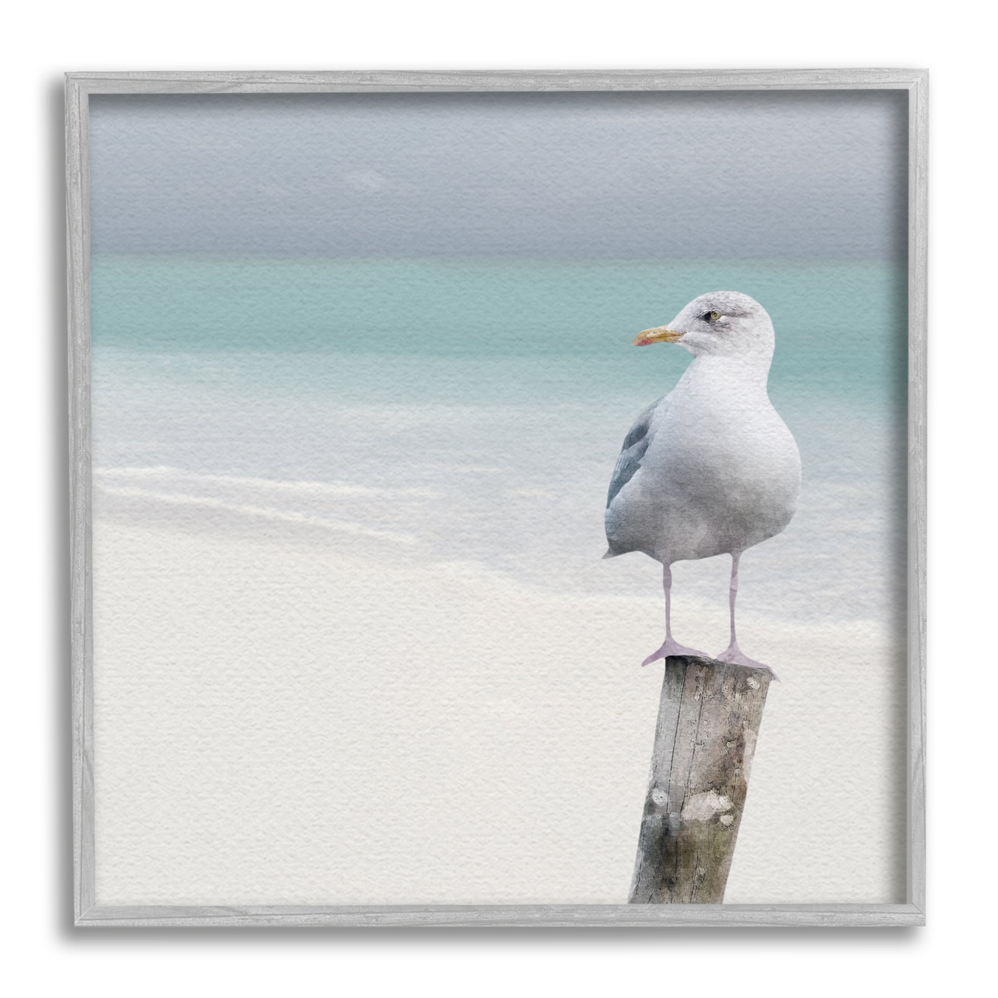 Stupell Industries Seagull Perched by Shore Animals & Insects Photography Gray Framed Art Print Wall Art, 12 x 12