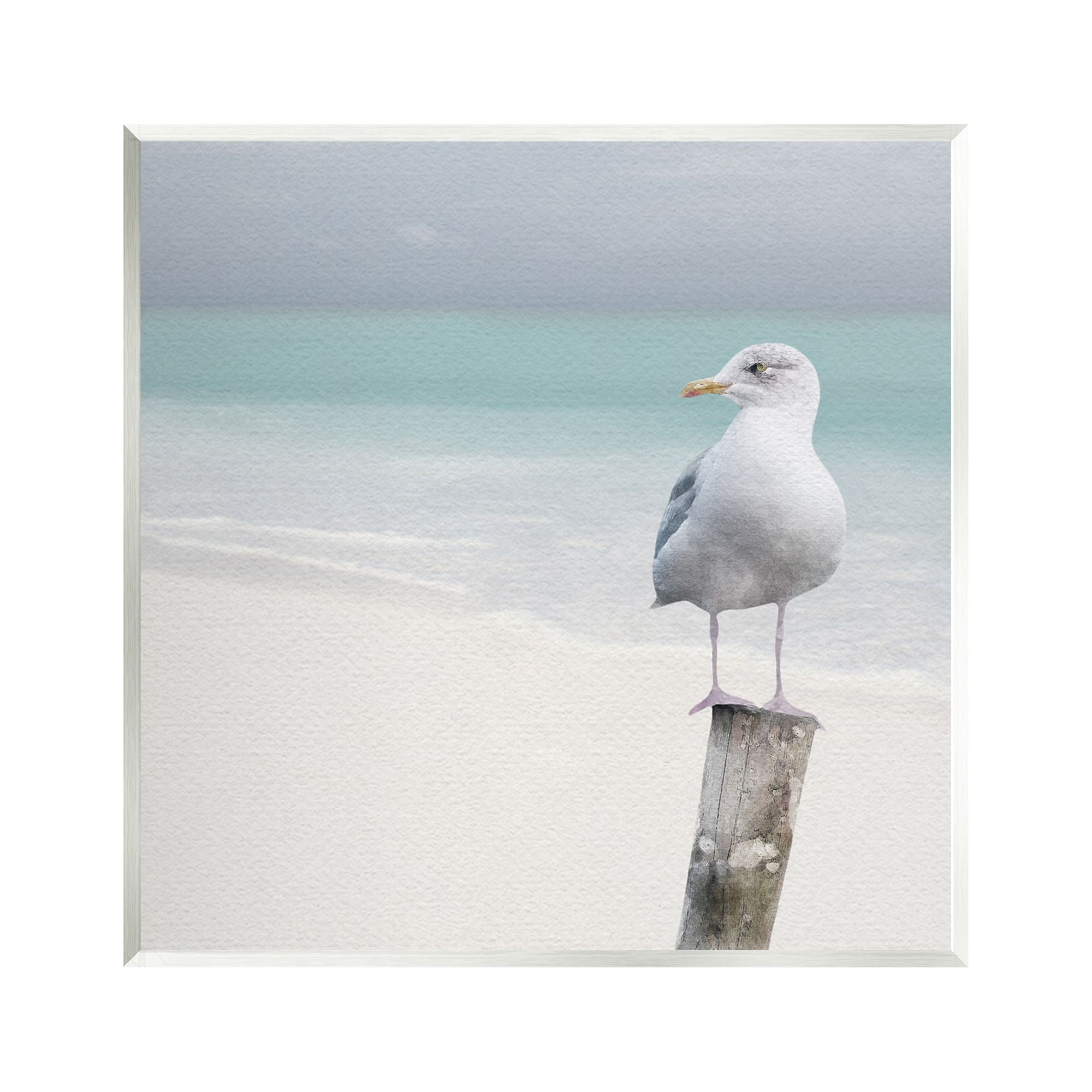 Stupell Industries Seagull Perched by Shore Animals & Insects Photography Unframed Art Print Wall Art, 12 x 12