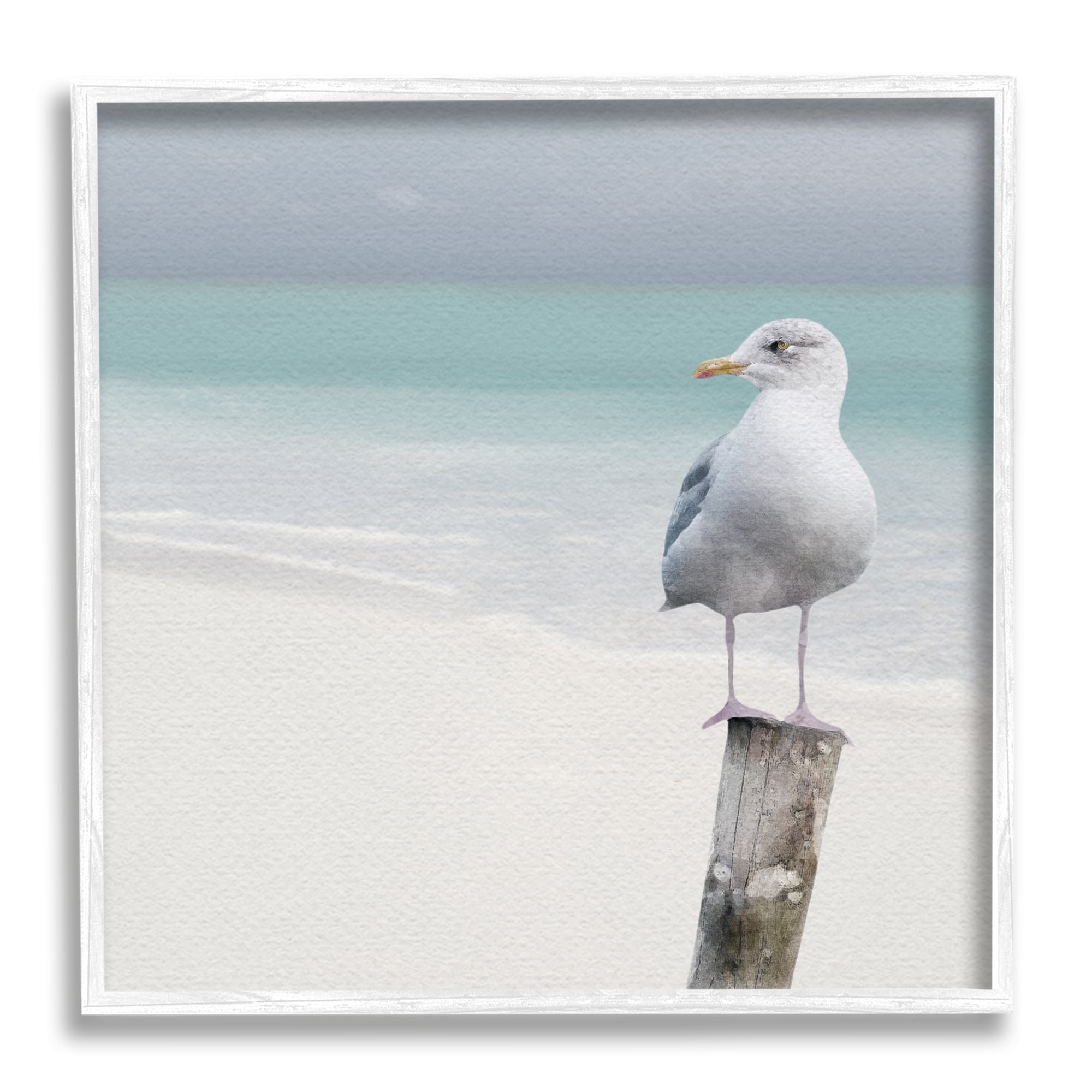 Stupell Industries Seagull Perched by Shore Animals & Insects Photography White Framed Art Print Wall Art, 17 x 17