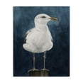 thumbnail image 1 of Stupell Industries Seagull Perched over Blue Animals Painting Wrapped Canvas Art Print Wall Art, 24 x 30, 1 of 8