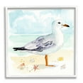 thumbnail image 1 of Stupell Industries Seagull & Seashells on Shore Animals & Insects Painting White Framed Art Print Wall Art, 17 x 17, 1 of 9