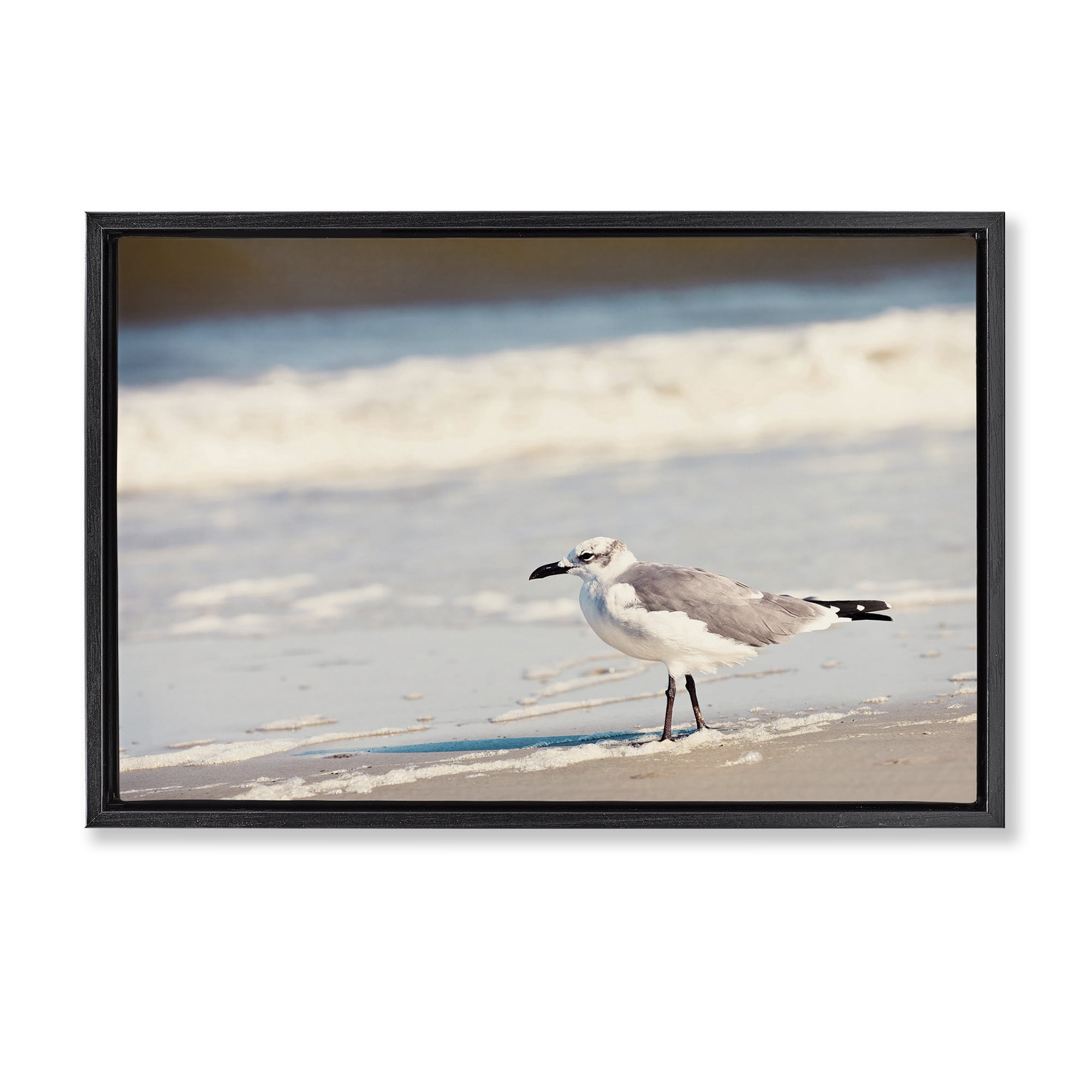 Stupell Industries Seagull Stepping on Shore Coastal Photography Black Floater Framed Canvas Art Print Wall Art, 25 x 17