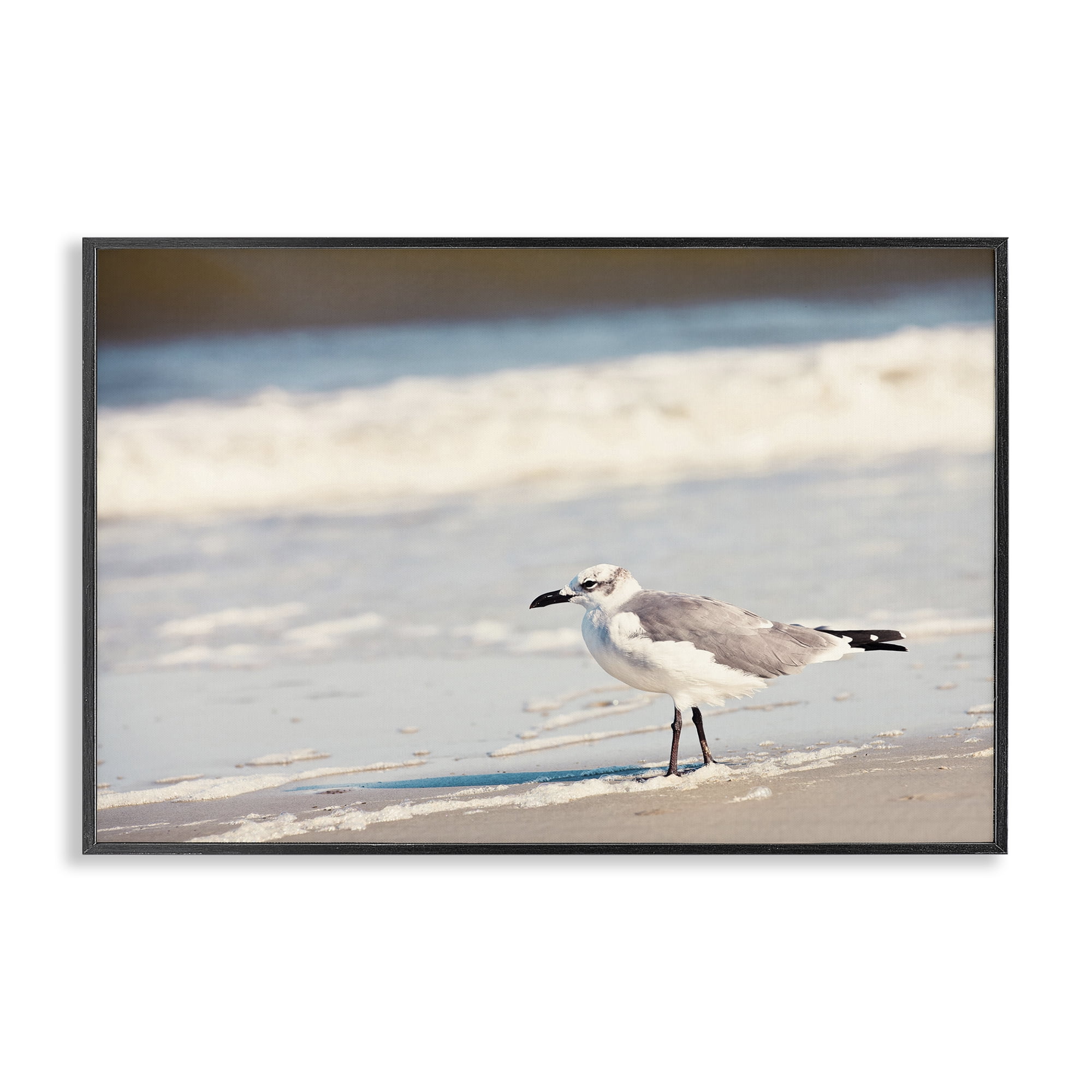 Stupell Industries Seagull Stepping on Shore Coastal Photography Black Framed Art Print Wall Art, 18 x 12