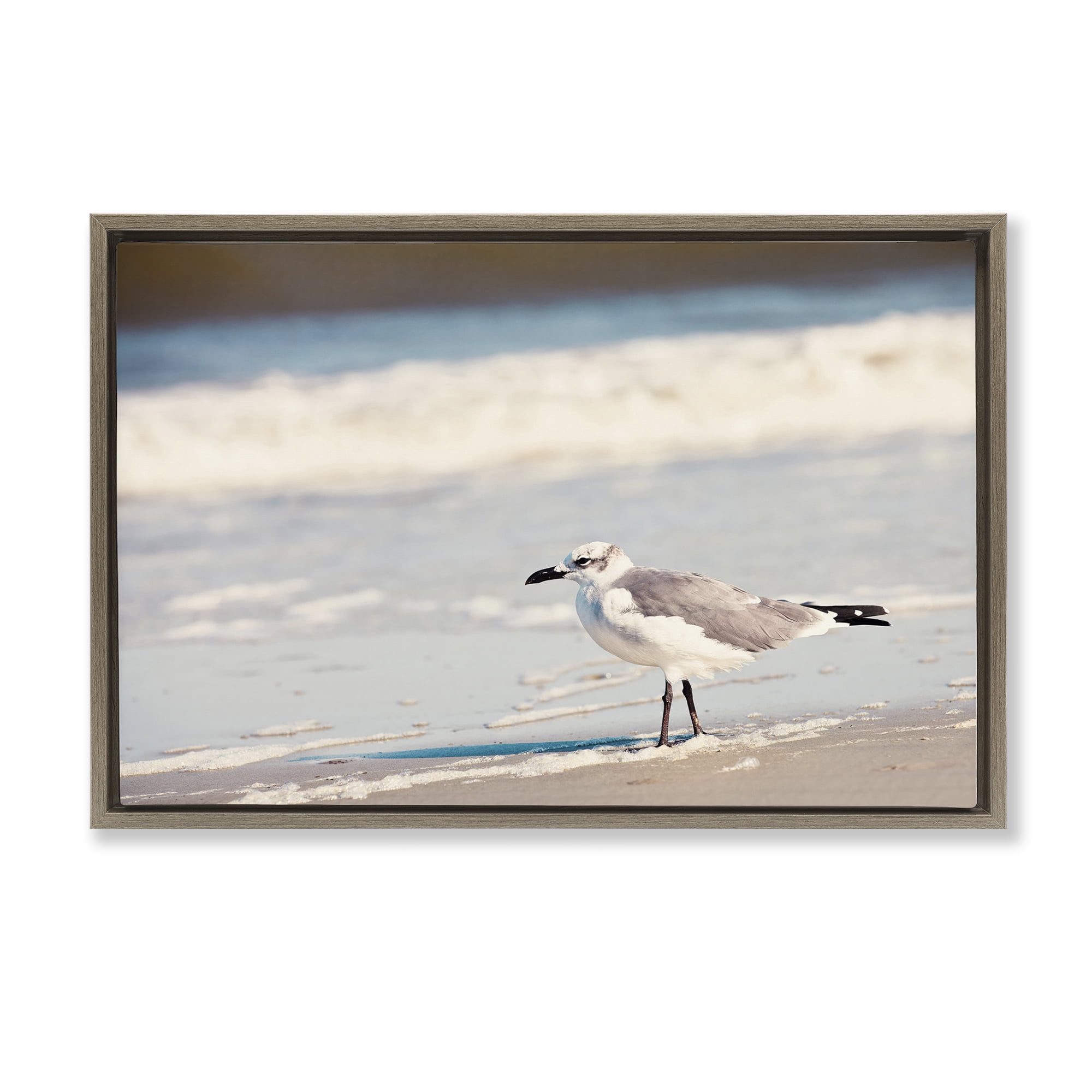 Stupell Industries Seagull Stepping on Shore Coastal Photography Brown Floater Framed Canvas Art Print Wall Art, 31 x 21