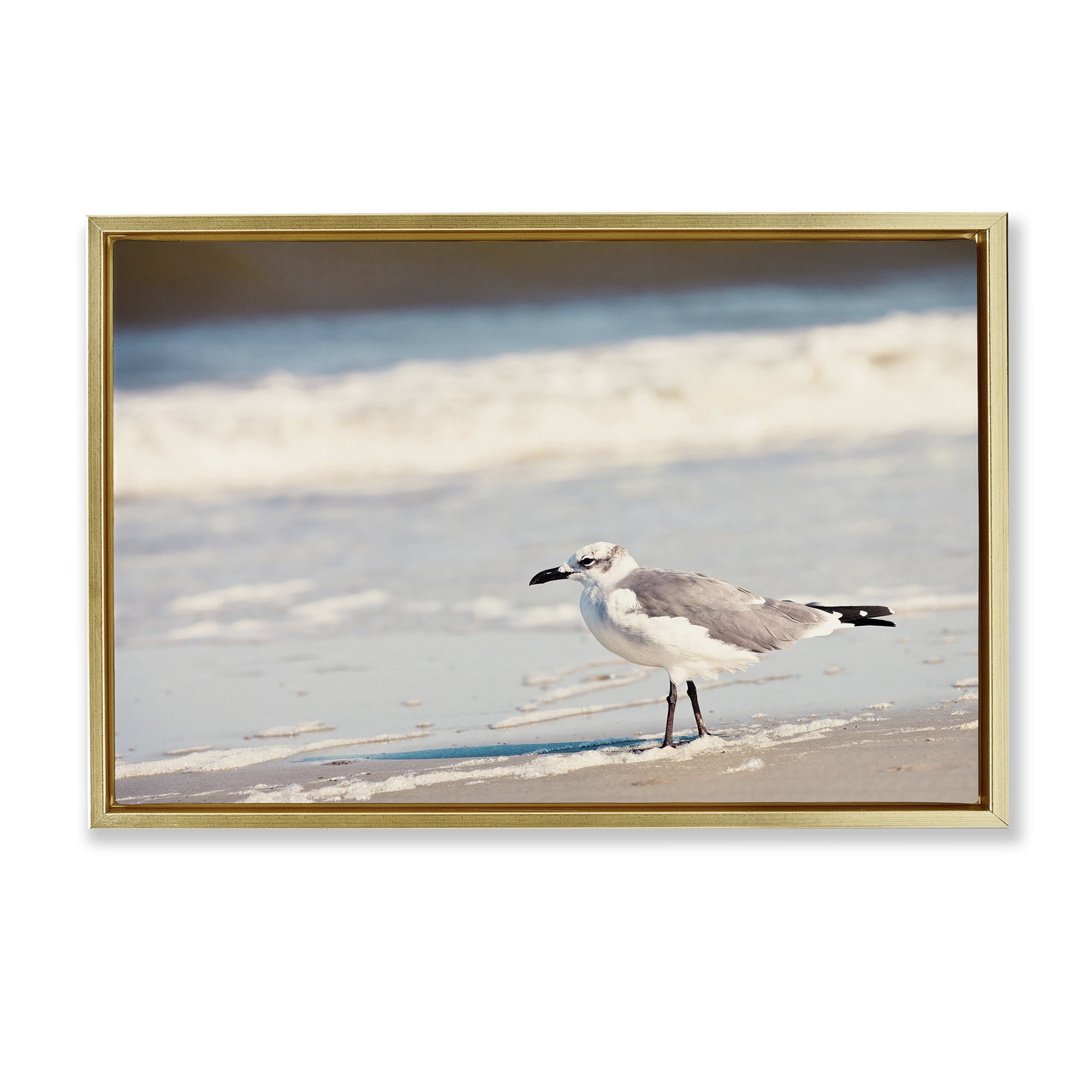 Stupell Industries Seagull Stepping on Shore Coastal Photography Gold Floater Framed Canvas Art Print Wall Art, 31 x 21