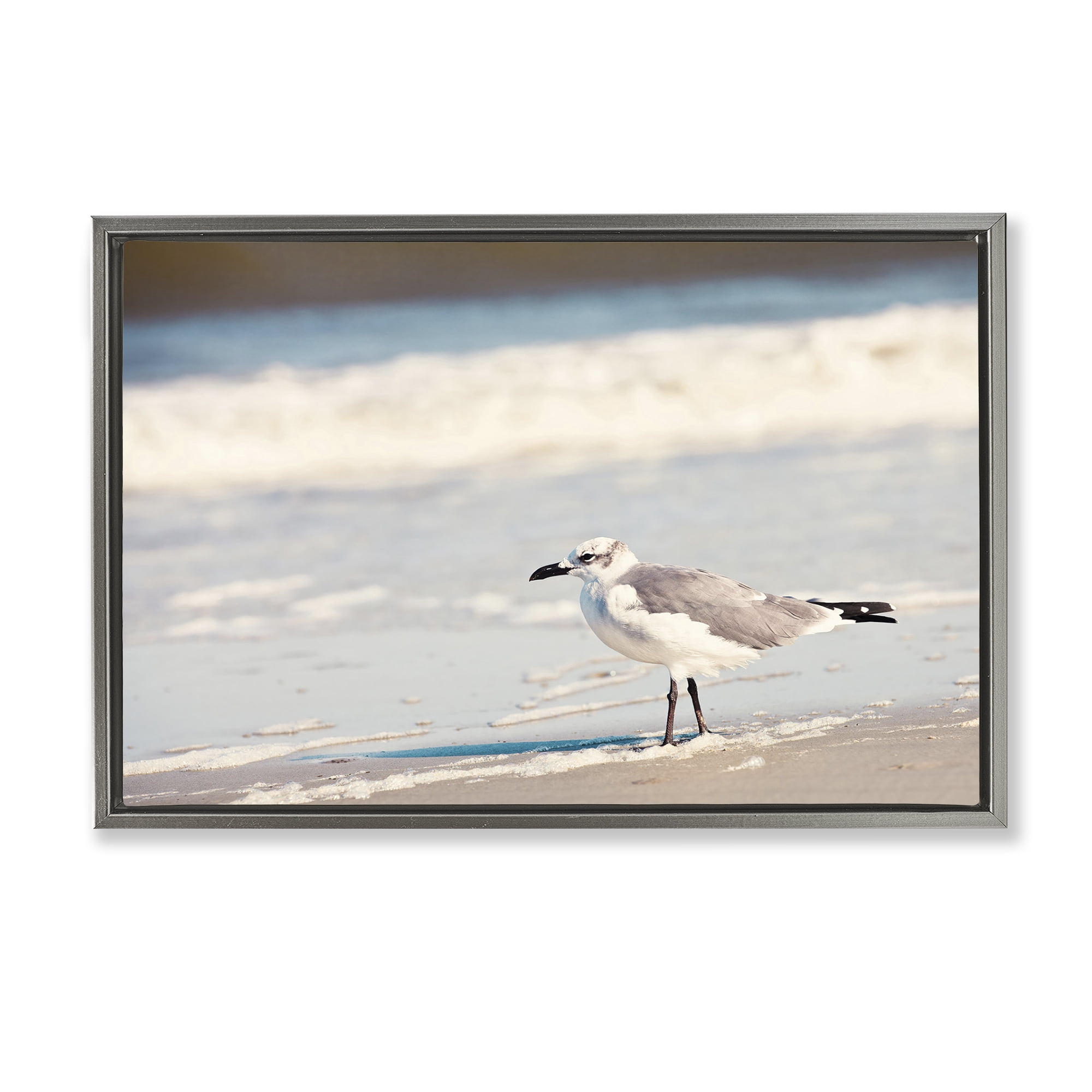 Stupell Industries Seagull Stepping on Shore Coastal Photography Gray Floater Framed Canvas Art Print Wall Art, 25 x 17