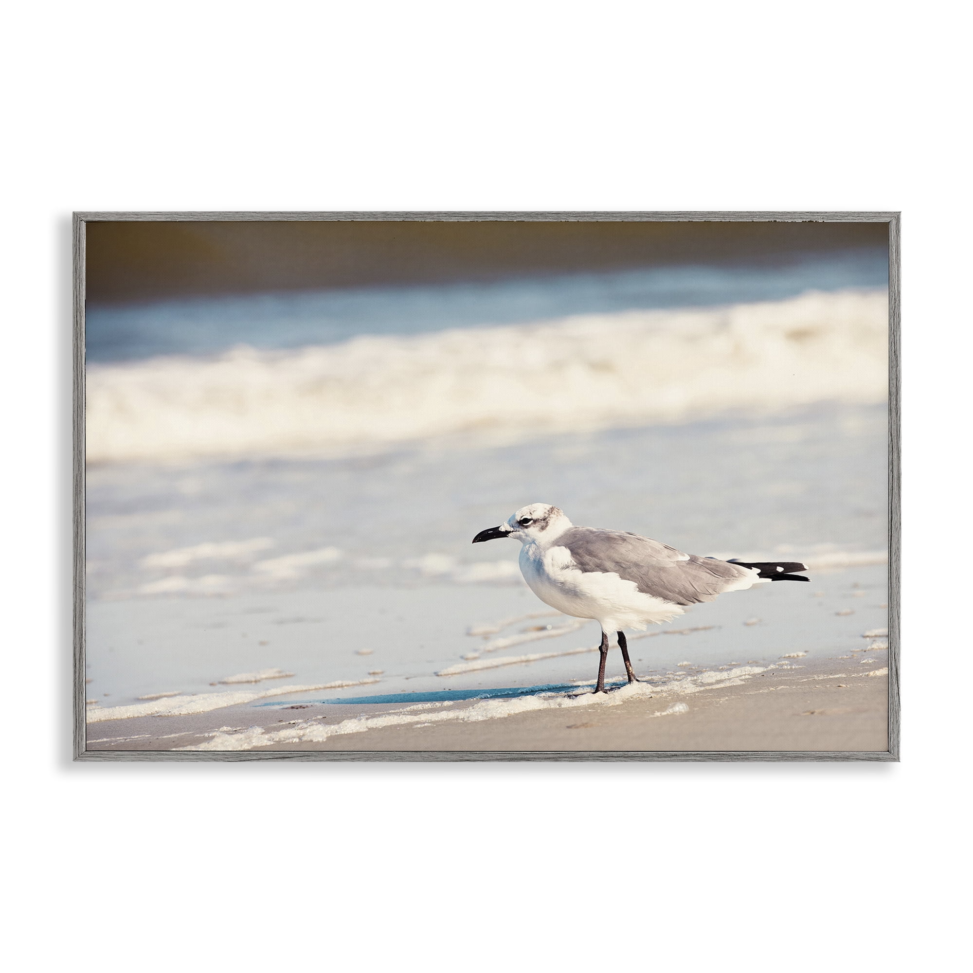 Stupell Industries Seagull Stepping on Shore Coastal Photography Gray Framed Art Print Wall Art, 24 x 16