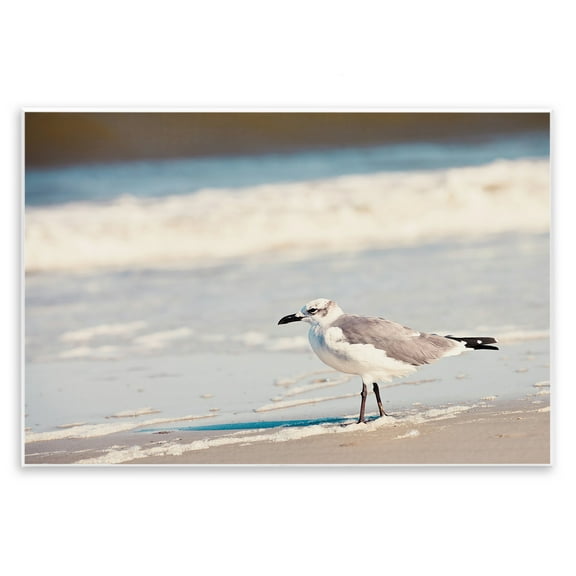 Stupell Industries Seagull Stepping on Shore Coastal Photography Unframed Art Print Wall Art, 15 x 10