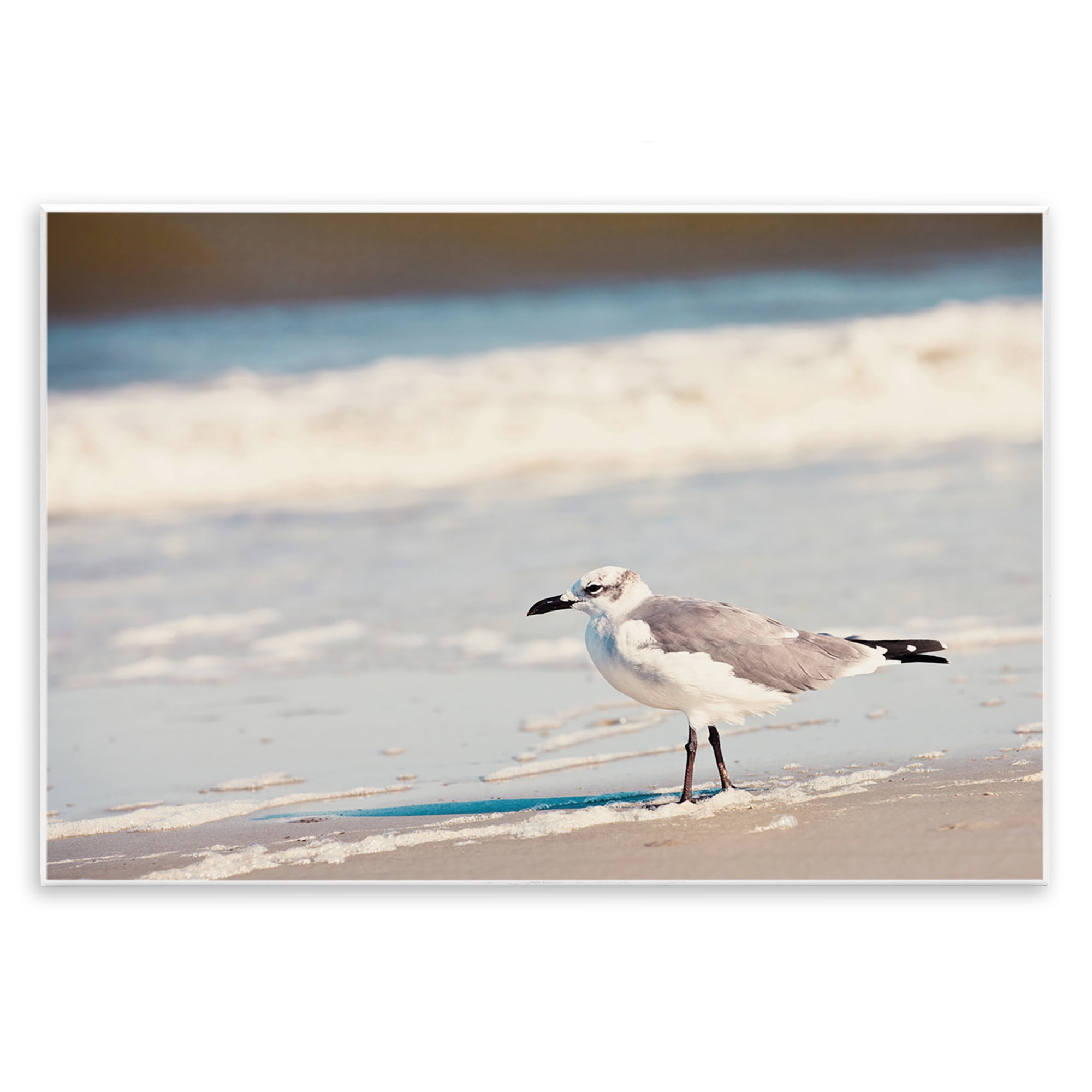 Stupell Industries Seagull Stepping on Shore Coastal Photography Unframed Art Print Wall Art, 19 x 13