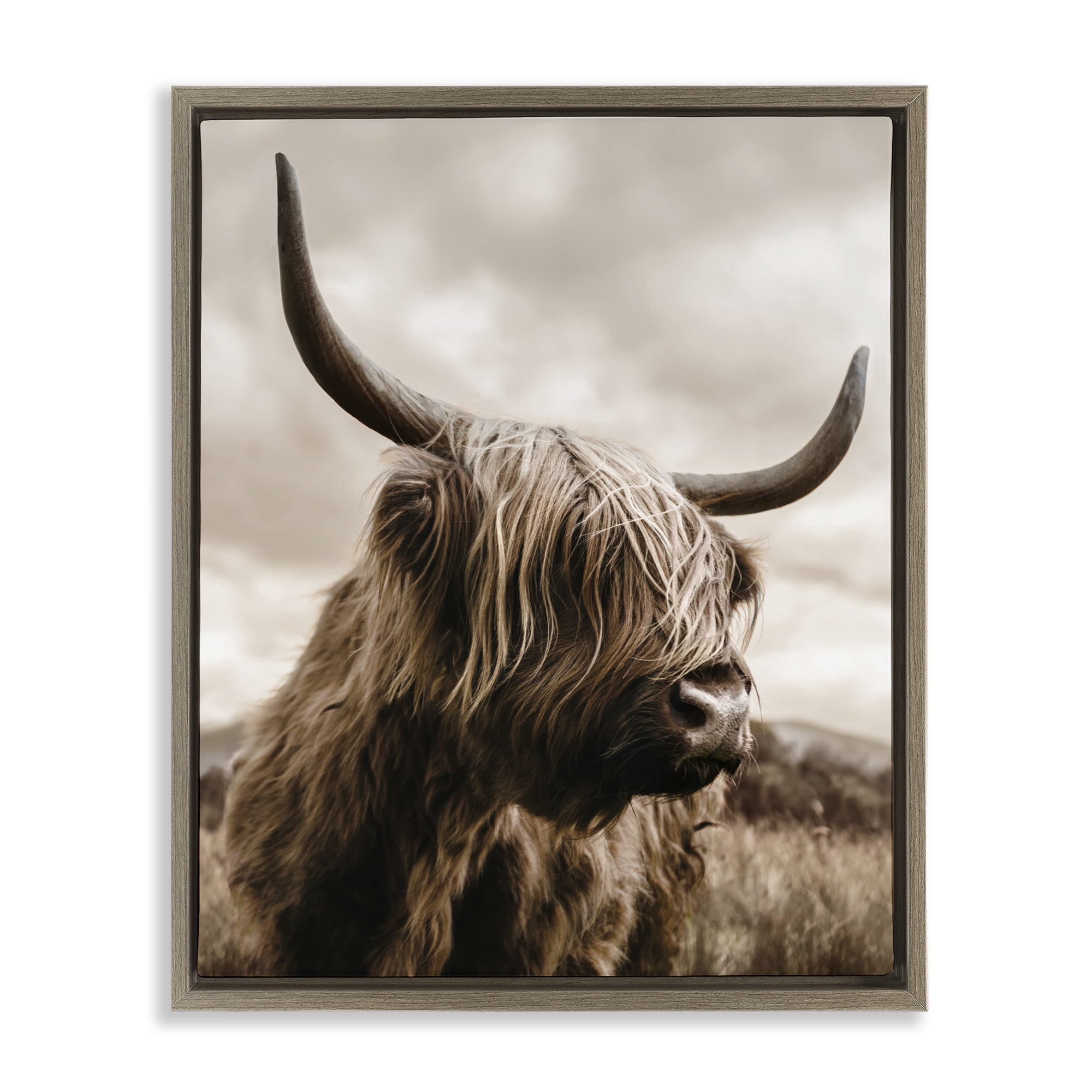 Stupell Industries Searching Cattle Gaze Brown Framed Floater Canvas Wall Art, design by CAD Designs