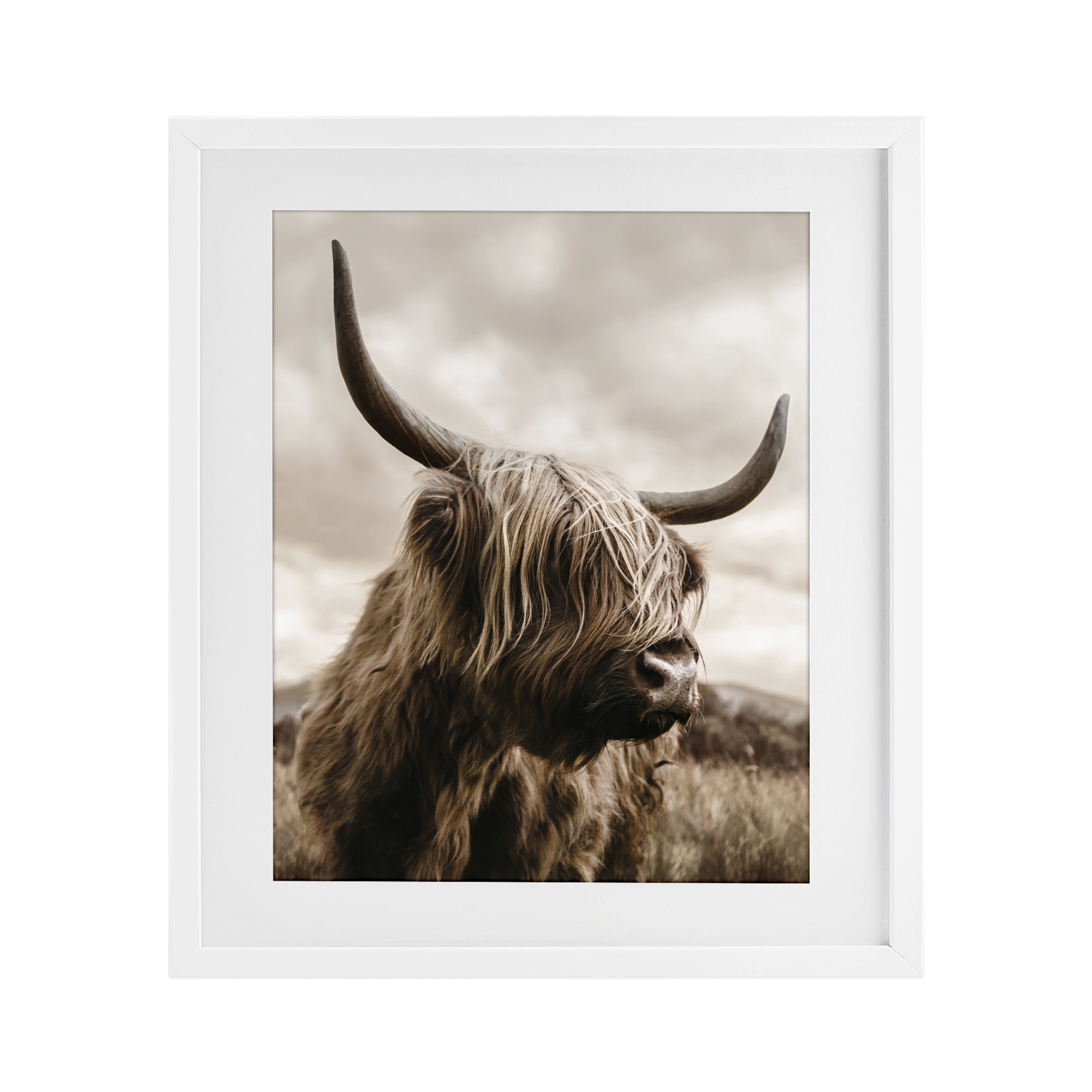 Stupell Industries Searching Cattle Gaze White Framed Print Under Glass, design by CAD Designs
