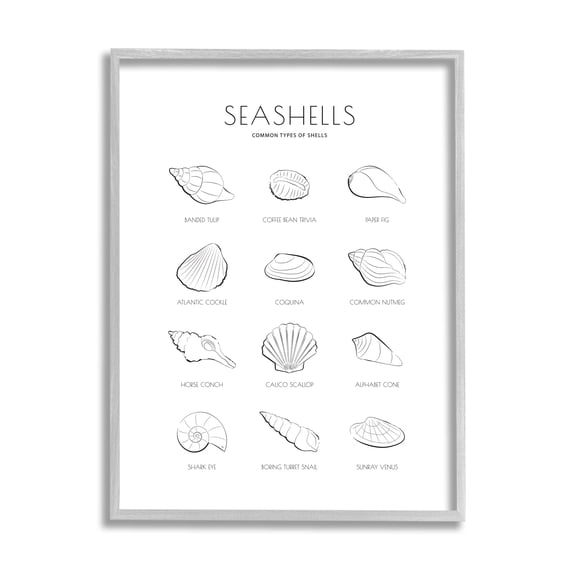 Stupell Industries Seashell Guide for Common Shells Minimal Nautical Chart Tropical Painting Gray Framed Art Print Wall Art, 24 x 30, Design by Martina Pavlova