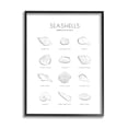 thumbnail image 1 of Stupell Industries Seashell Guide for Common Shells Minimal Nautical Chart, 11 x 14, Designed by Martina Pavlova, 1 of 7