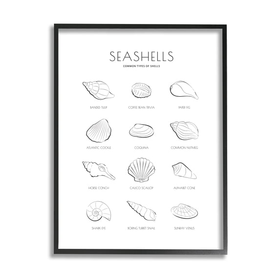 Stupell Industries Seashell Guide for Common Shells Minimal Nautical Chart, 11 x 14, Designed by Martina Pavlova