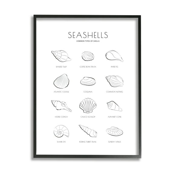 Stupell Industries Seashell Guide for Common Shells Minimal Nautical Chart, 24 x 30, Designed by Martina Pavlova
