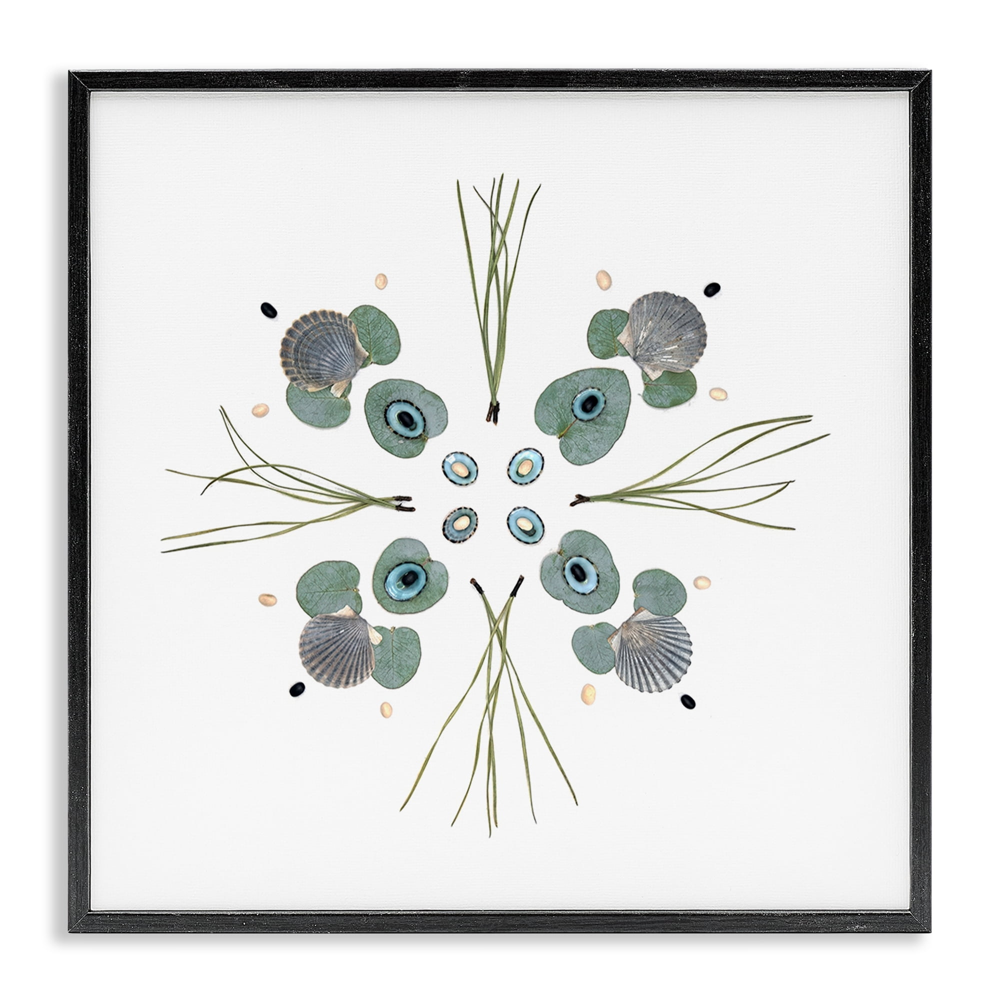 Stupell Industries Seashell & Leaf Symmetry Black Framed Giclee Art, design by Beth Adoette