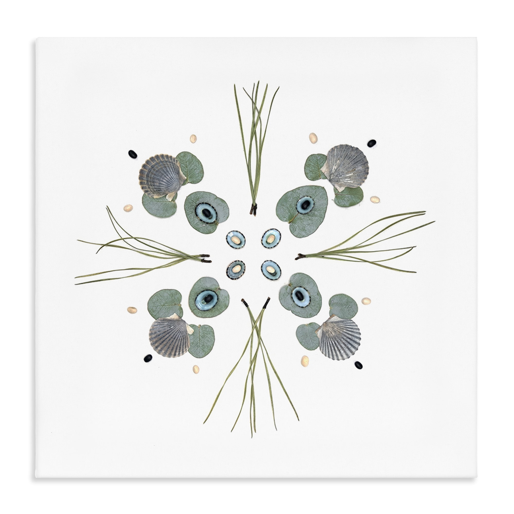 Stupell Industries Seashell & Leaf Symmetry Canvas Wall Art, design by Beth Adoette