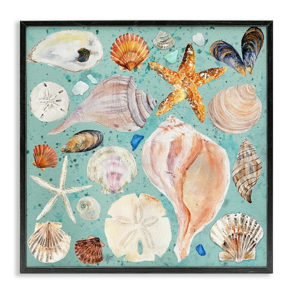 Stupell Industries Seashell Puzzle Pattern Coastal Painting Black Framed Art Print Wall Art, 12 x 12