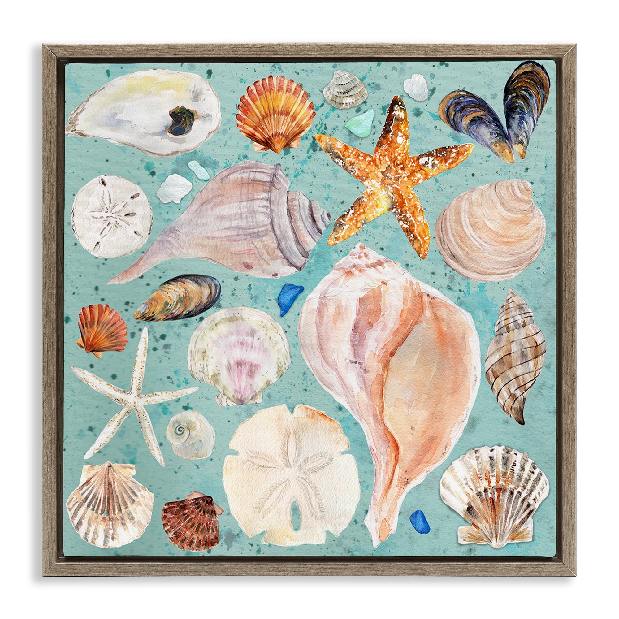 Stupell Industries Seashell Puzzle Pattern Coastal Painting Brown Floater Framed Canvas Art Print Wall Art, 25 x 25