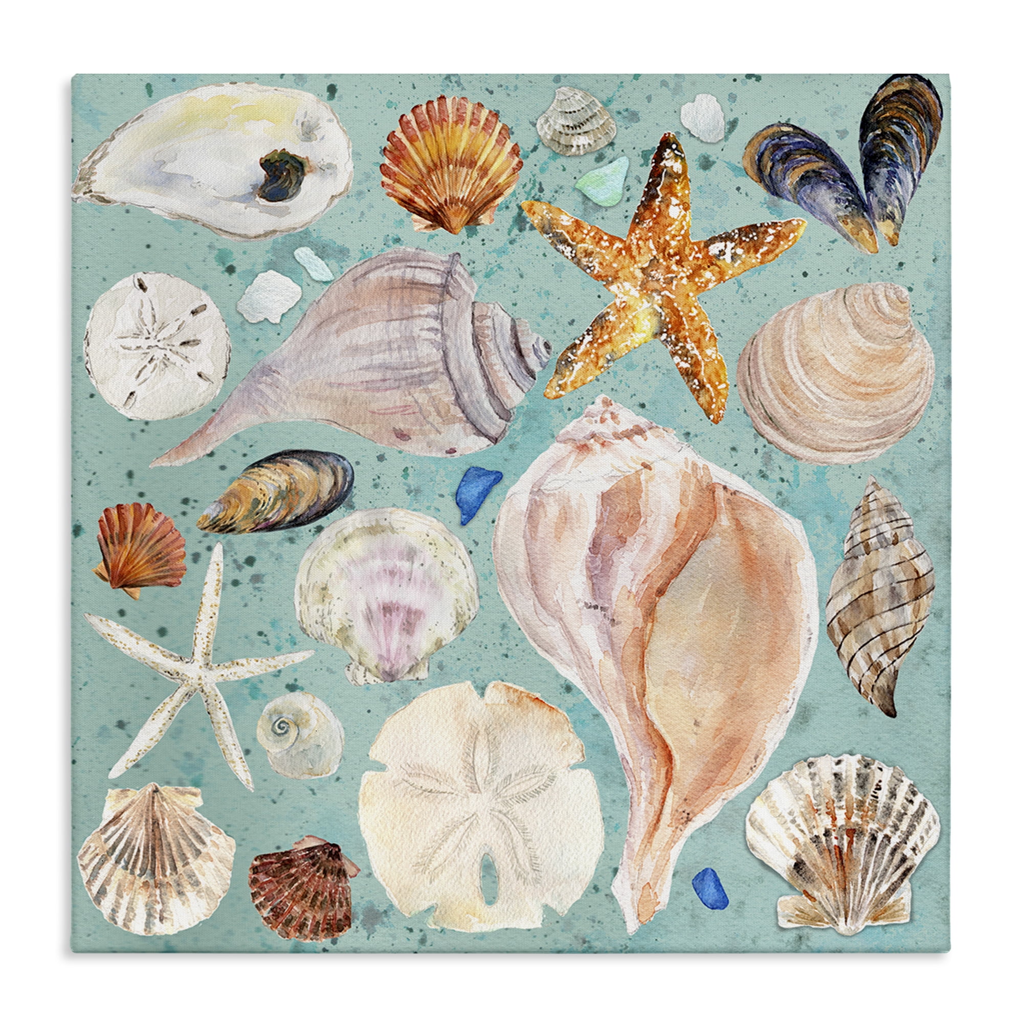Stupell Industries Seashell Puzzle Pattern Coastal Painting Gallery Wrapped Canvas Art Print Wall Art, 17 x 17