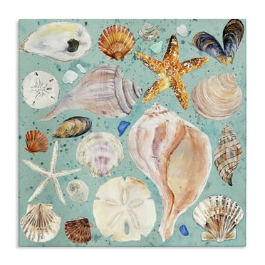 Stupell Industries Seashell Puzzle Pattern Coastal Painting Gallery Wrapped Canvas Art Print Wall Art, 17 x 17