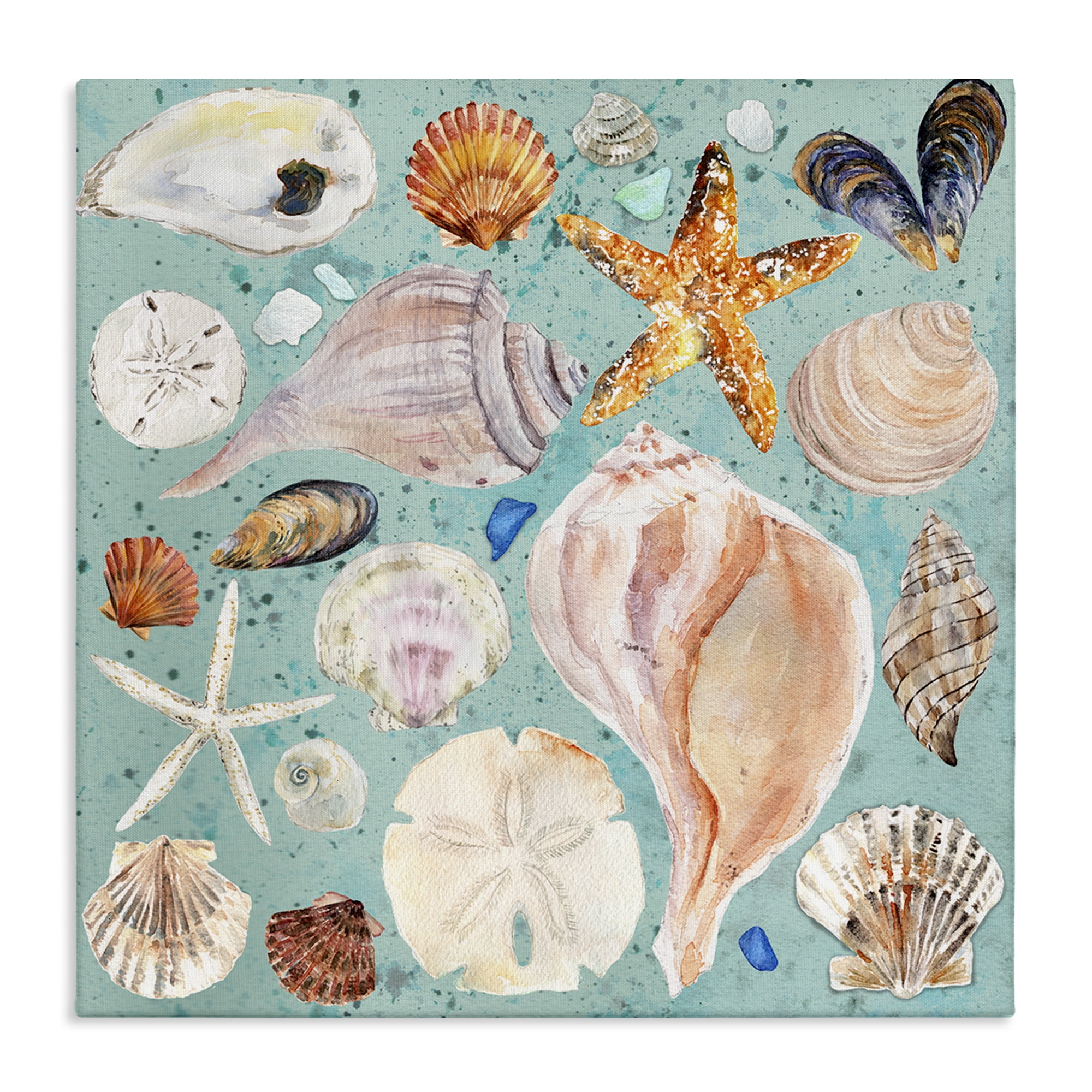 Stupell Industries Seashell Puzzle Pattern Coastal Painting Gallery Wrapped Canvas Art Print Wall Art, 24 x 24