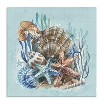 Stupell Industries Seashell Still Life Coastal Painting Gallery Wrapped Canvas Art Print Wall Art, 17 x 17