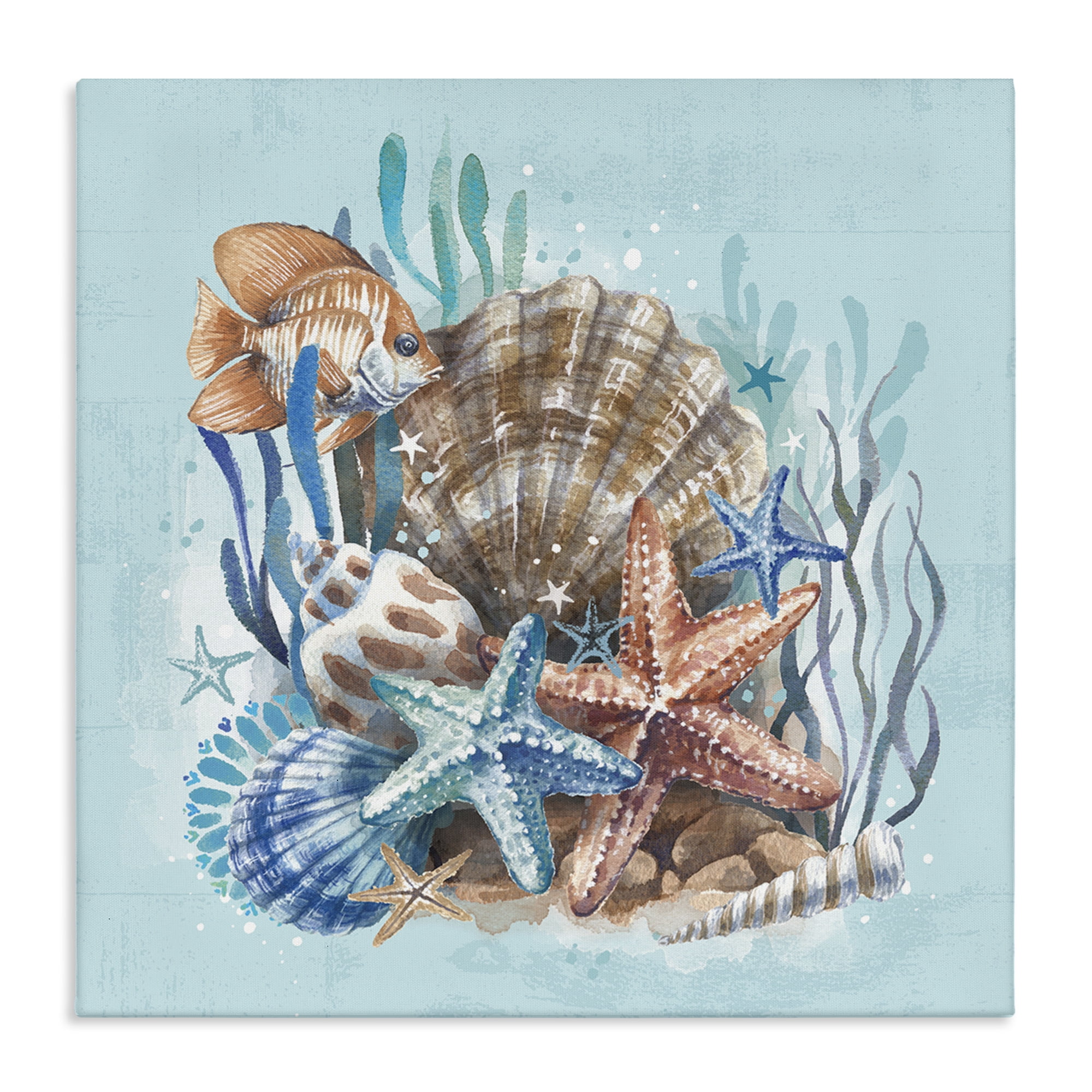Stupell Industries Seashell Still Life Coastal Painting Gallery Wrapped Canvas Art Print Wall Art, 24 x 24