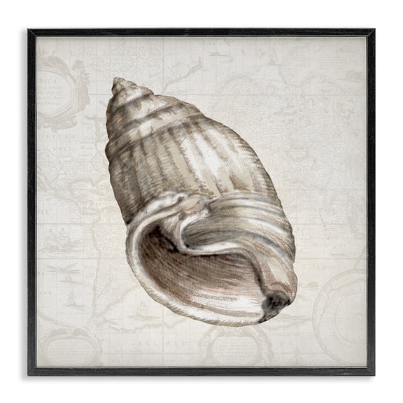 Stupell Industries Seashell over Vintage Map Animals Painting Black Framed Art Print Wall Art, 12 x 12
