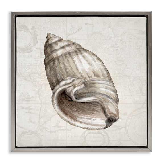 Stupell Industries Traditional Seashell over Vintage Map Gray Floating Frame Canvas Art, 18 x 18, by Conrad Knutsen