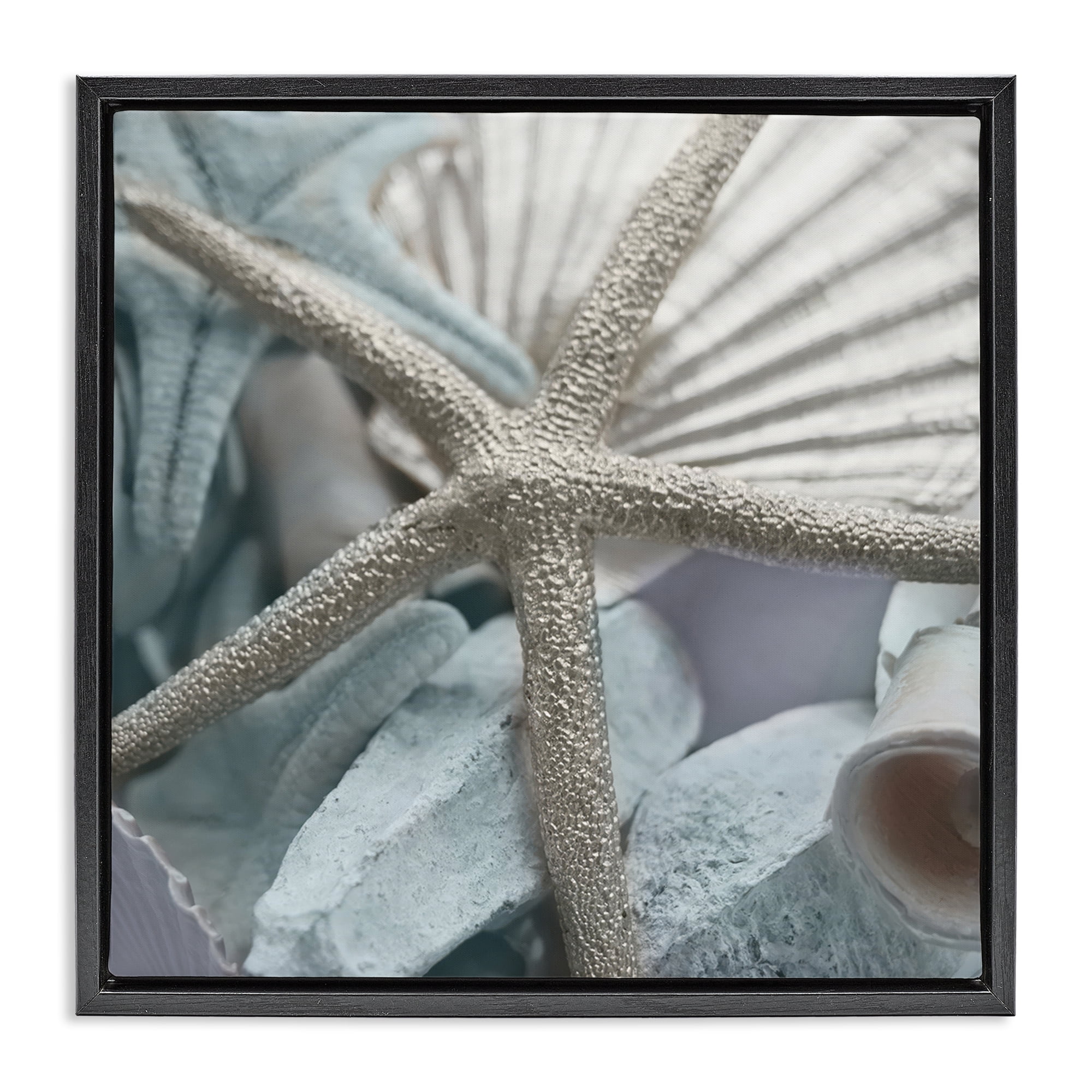 Stupell Industries Seashells & Starfish Nautical & Beach Photography Black Floater Framed Canvas Art Print Wall Art, 25 x 25