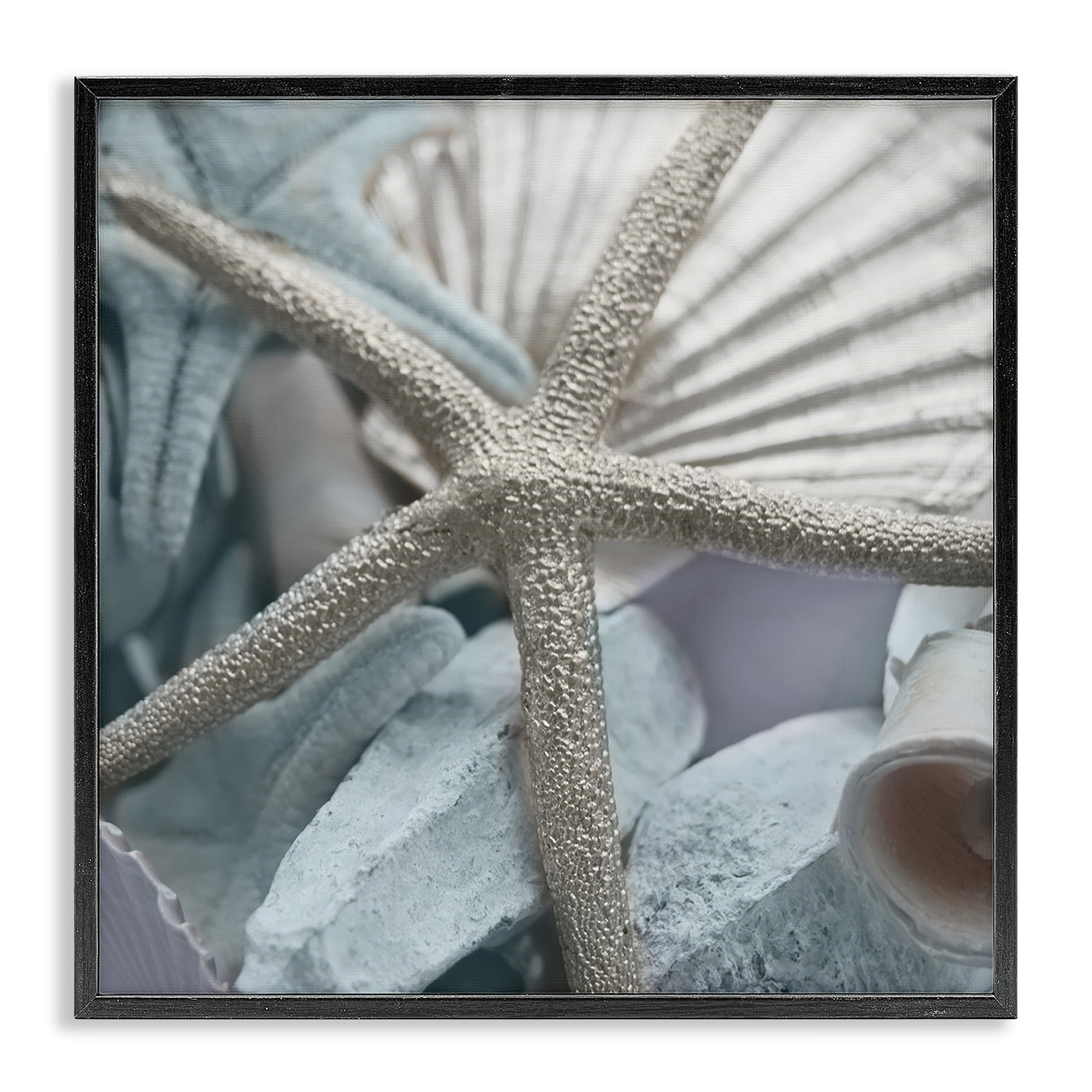 Stupell Industries Seashells & Starfish Nautical & Beach Photography Black Framed Art Print Wall Art, 12 x 12