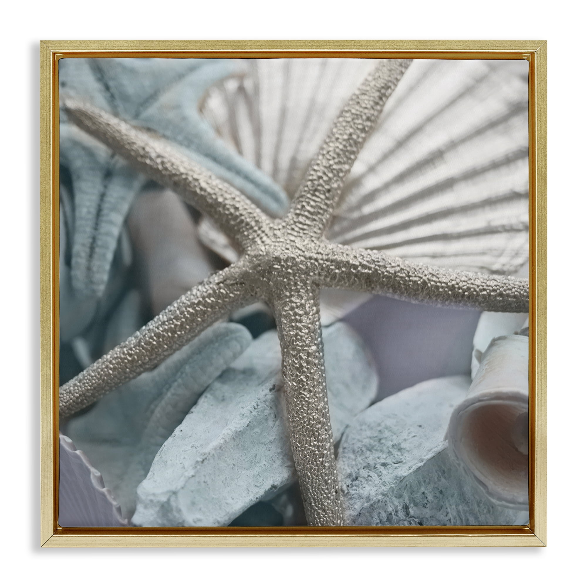Stupell Industries Seashells & Starfish Nautical & Beach Photography Gold Floater Framed Canvas Art Print Wall Art, 25 x 25