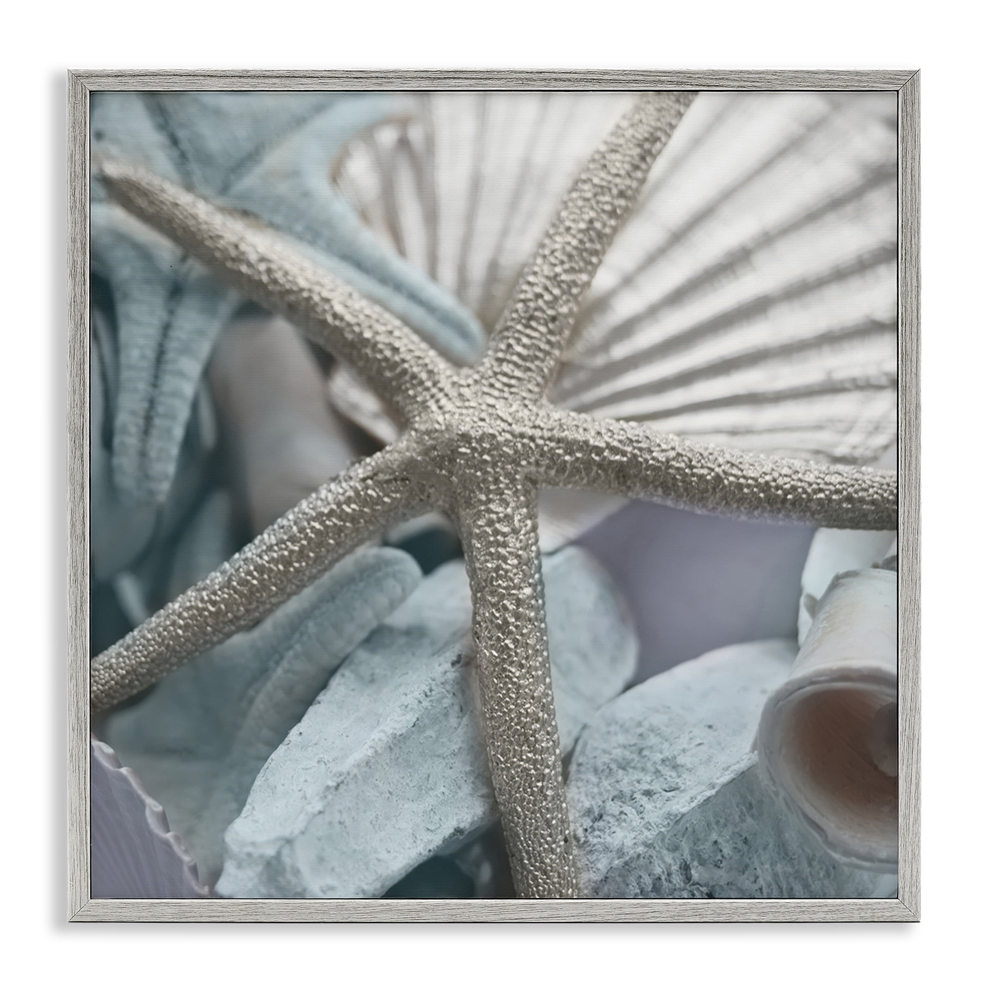 Stupell Industries Seashells & Starfish Nautical & Beach Photography Gray Framed Art Print Wall Art, 12 x 12