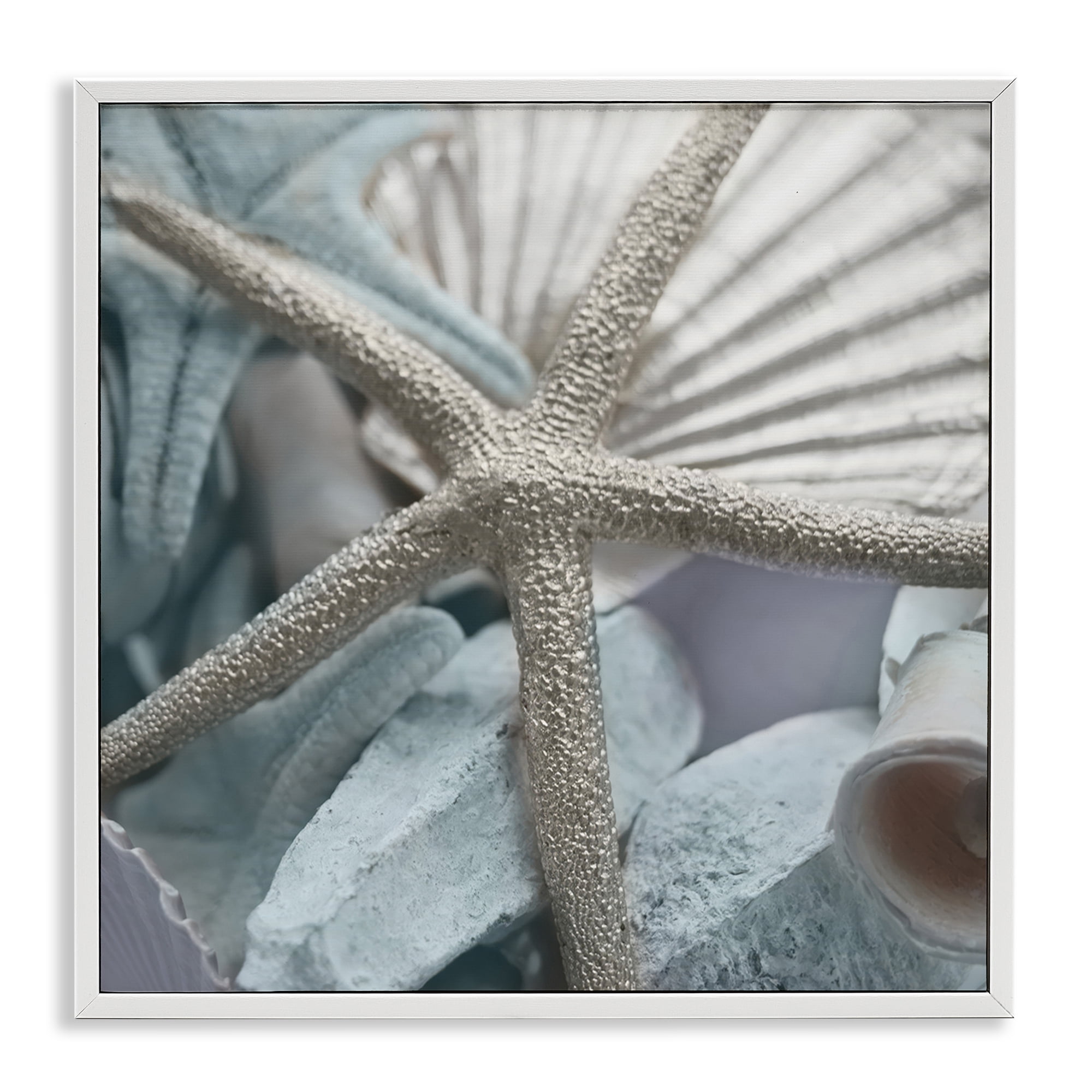 Stupell Industries Seashells & Starfish Nautical & Beach Photography White Framed Art Print Wall Art, 12 x 12