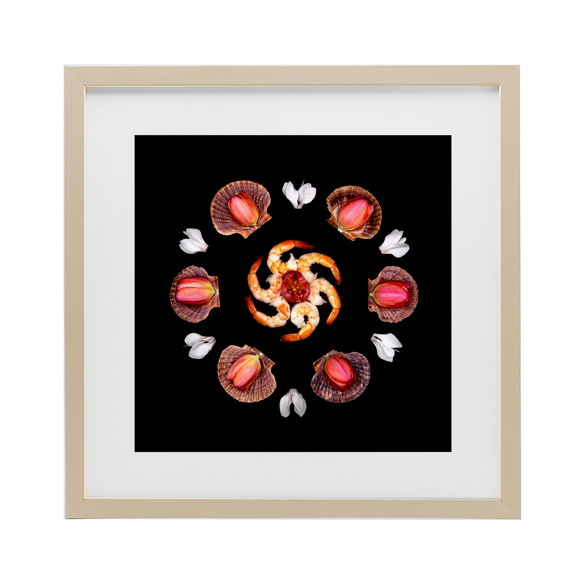 Stupell Industries Seashells & Tulips Symmetry Birch Framed Print Under Glass, design by Beth Adoette