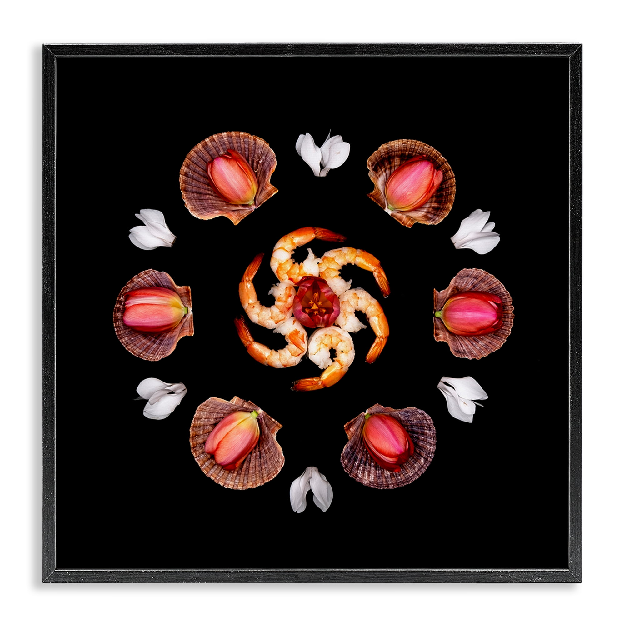 Stupell Industries Seashells & Tulips Symmetry Black Framed Giclee Art, design by Beth Adoette