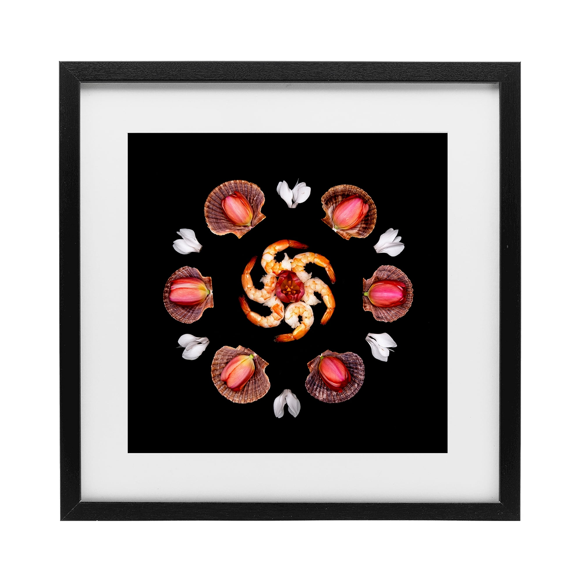 Stupell Industries Seashells & Tulips Symmetry Black Framed Print Under Glass, design by Beth Adoette