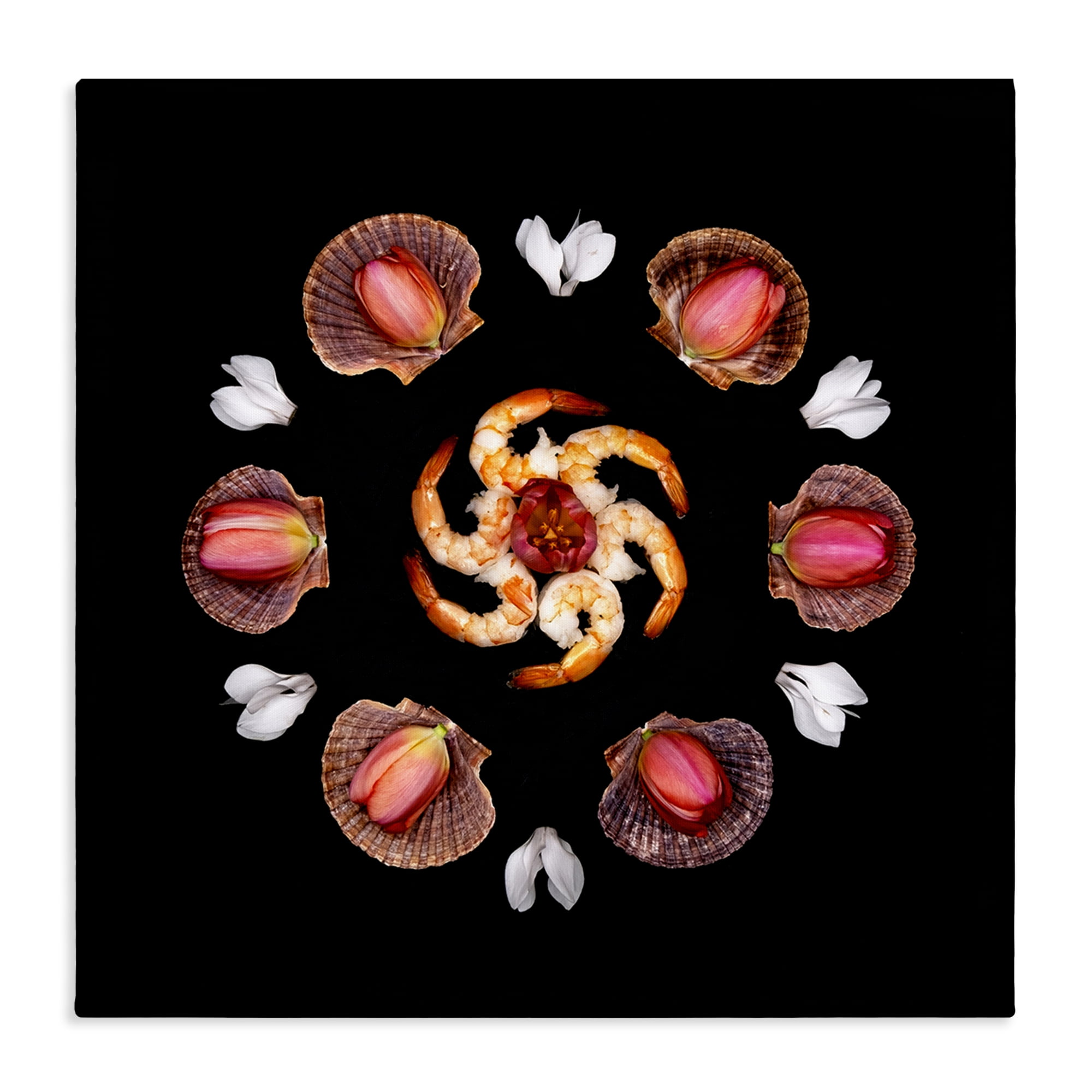 Stupell Industries Seashells & Tulips Symmetry Canvas Wall Art, design by Beth Adoette