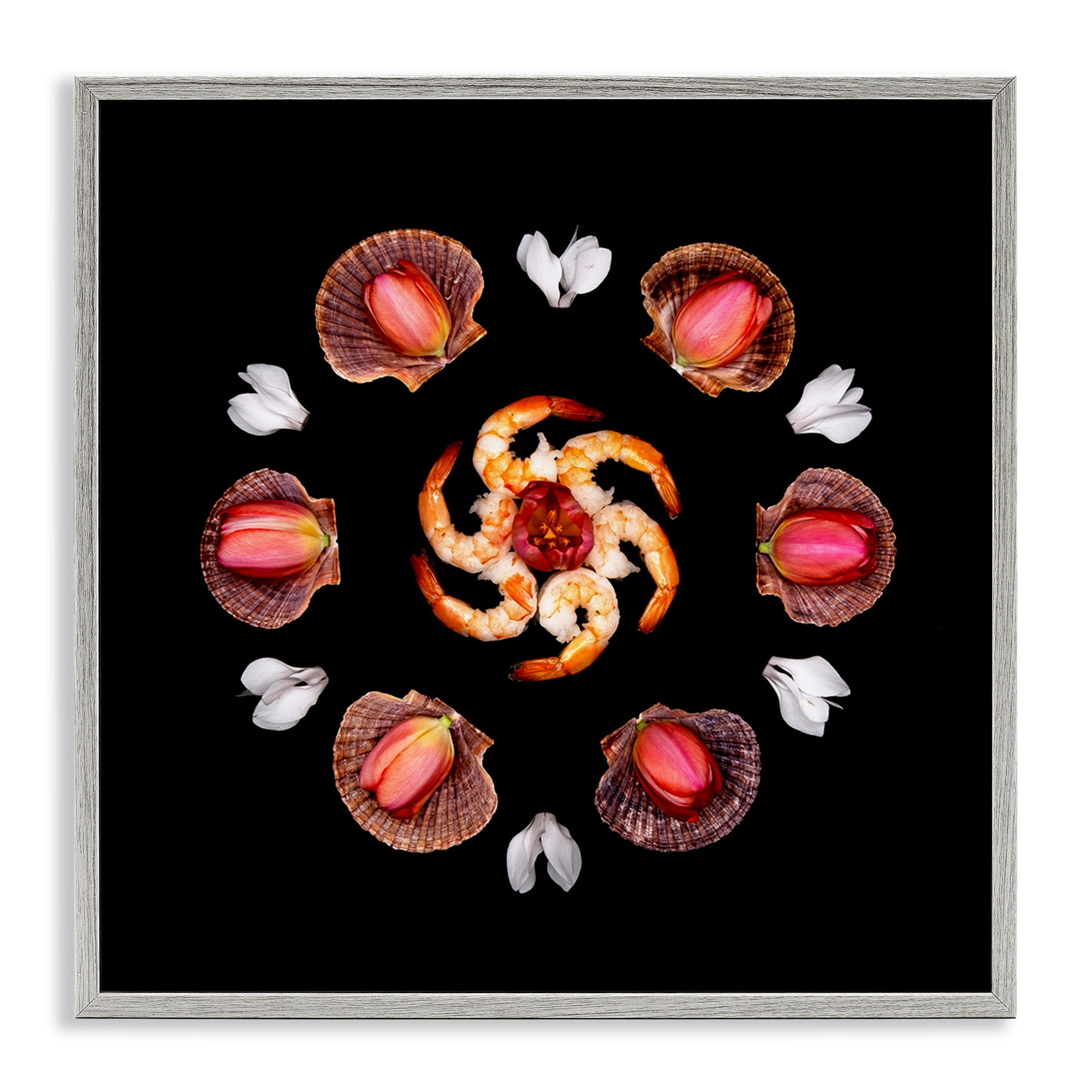 Stupell Industries Seashells & Tulips Symmetry Gray Framed Giclee Art, design by Beth Adoette