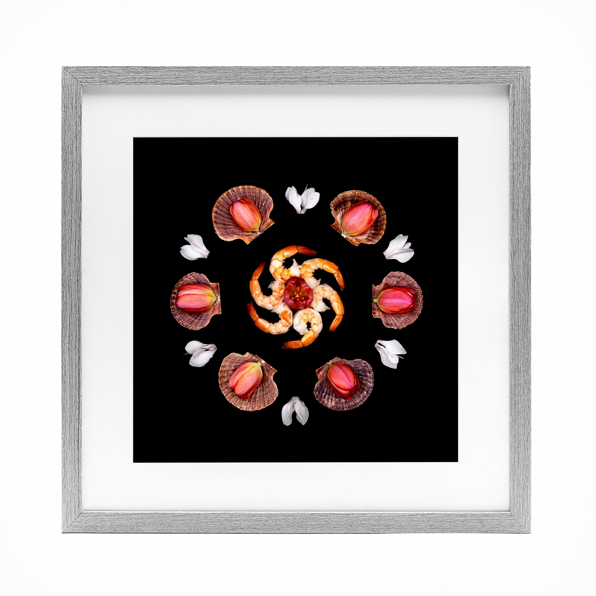Stupell Industries Seashells & Tulips Symmetry Gray Framed Print Under Glass, design by Beth Adoette