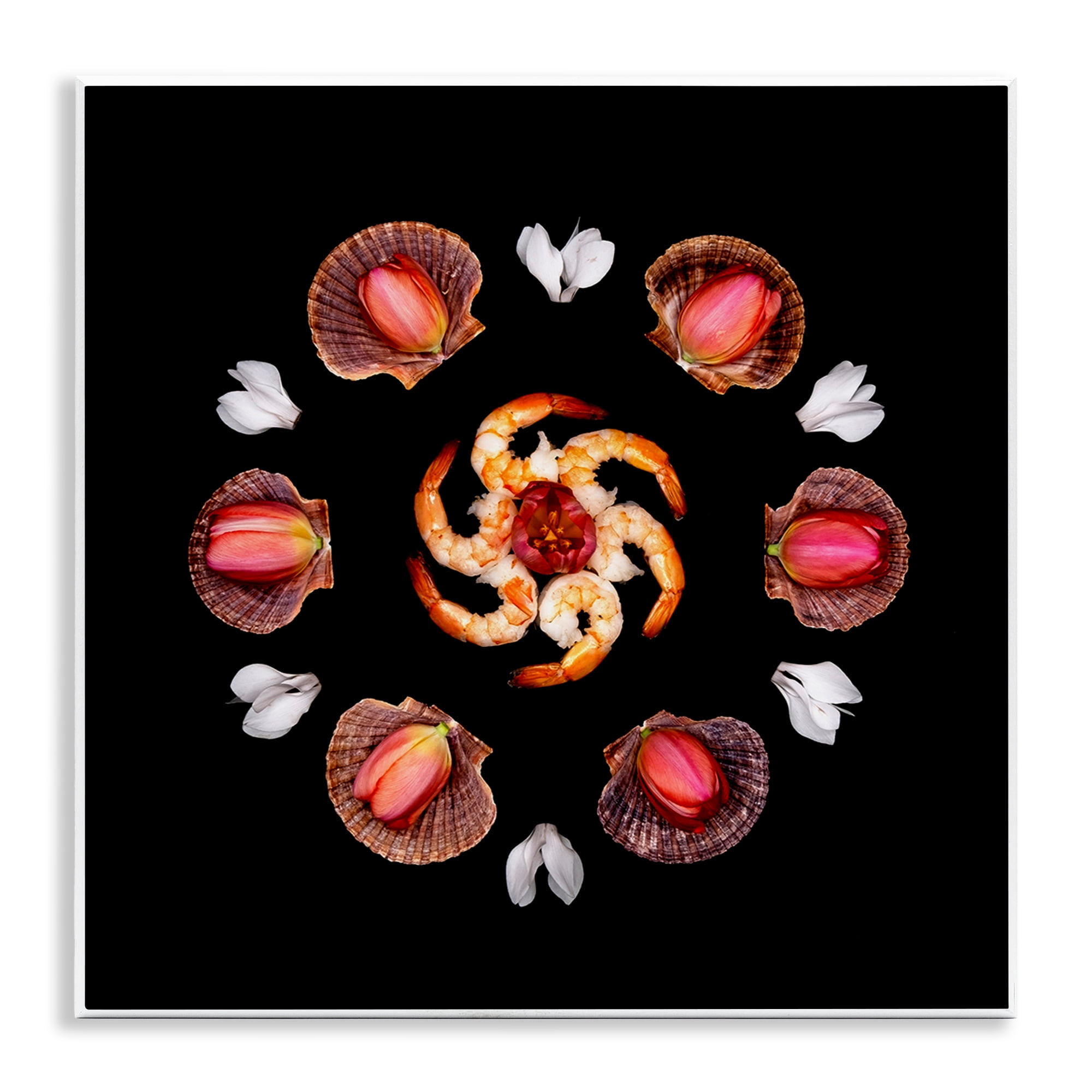 Stupell Industries Seashells & Tulips Symmetry Wall Plaque Art, design by Beth Adoette
