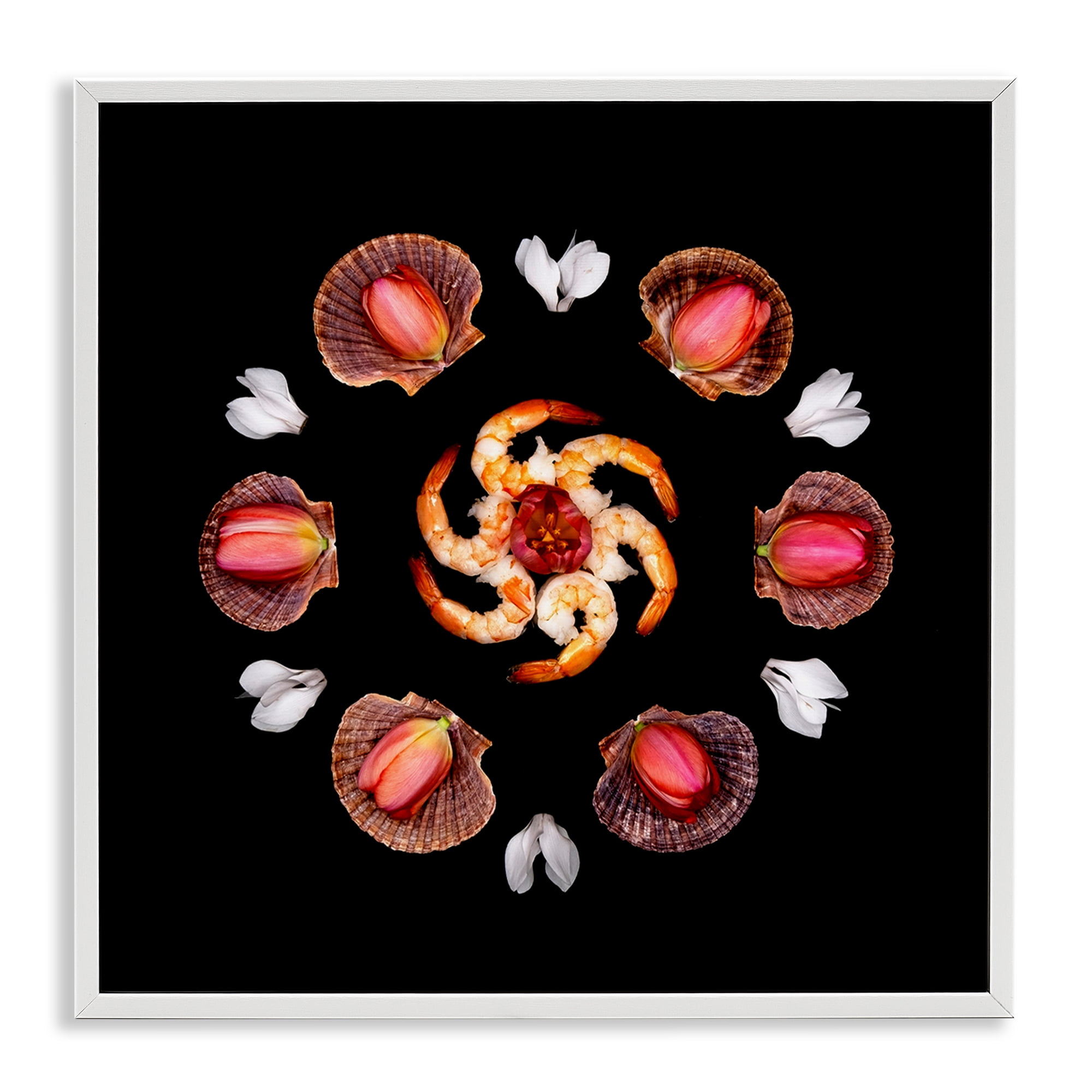 Stupell Industries Seashells & Tulips Symmetry White Framed Giclee Art, design by Beth Adoette