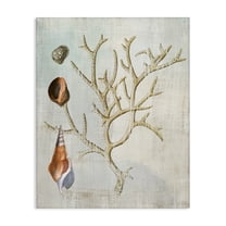 Stupell Industries Seashells and Coral Branch Animals Painting Wrapped Canvas Canvas Art Print Wall Art, 16 x 20